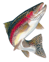 Fishin Again Charters 102